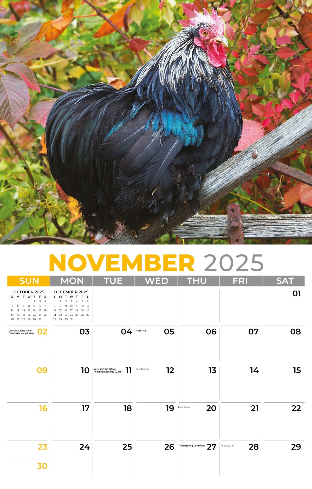 Galleria Wall Calendar 2025 Country Spirit