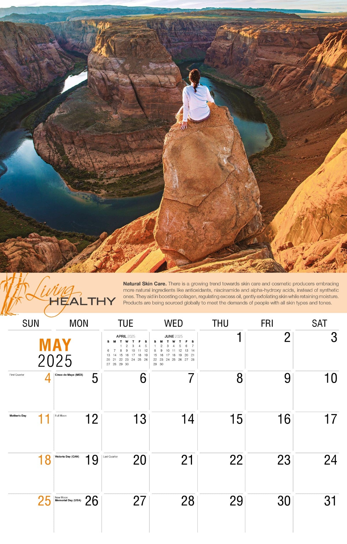 Galleria Wall Calendar 2025 Living Healthy