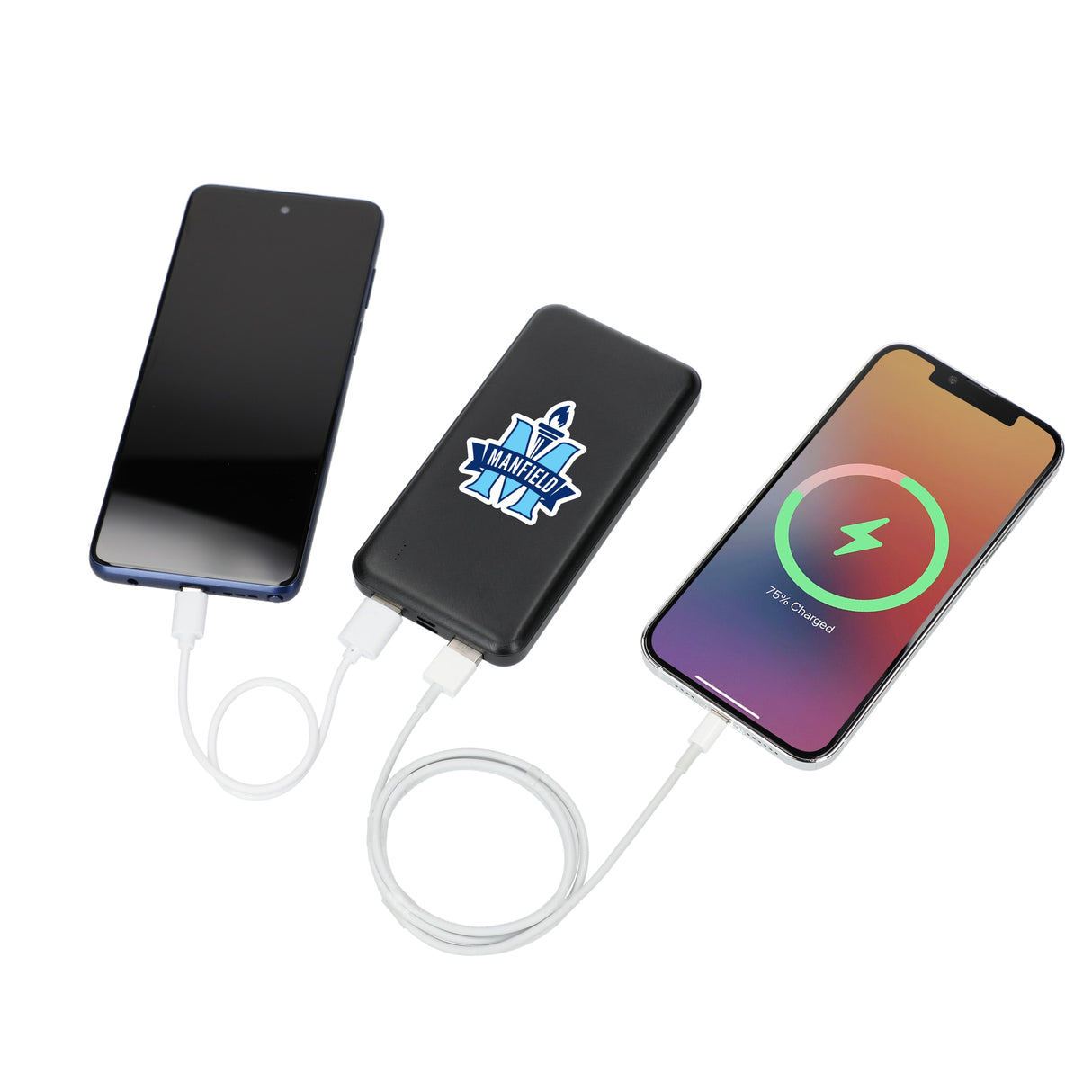 Dart 10000 mAh Power Bank