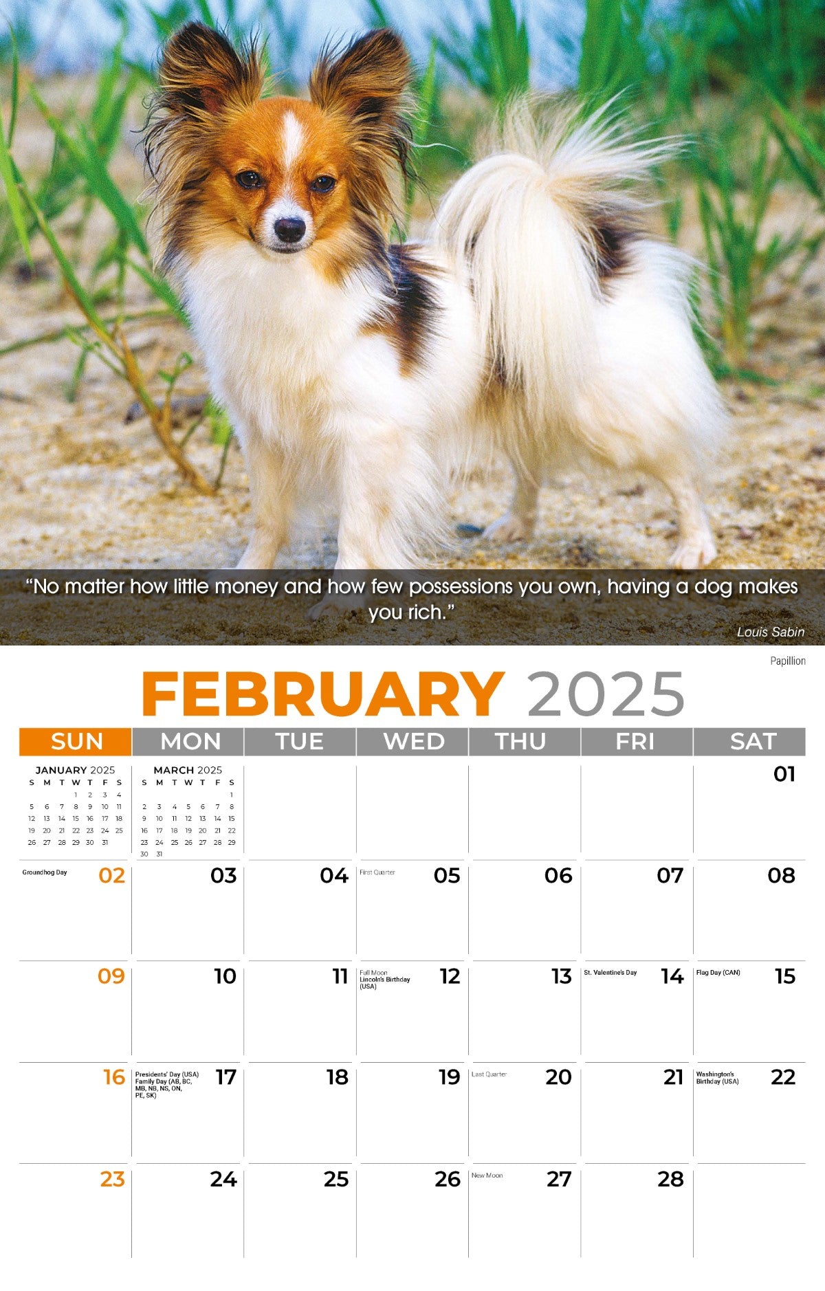 Galleria Wall Calendar 2025 Dogs Calendar