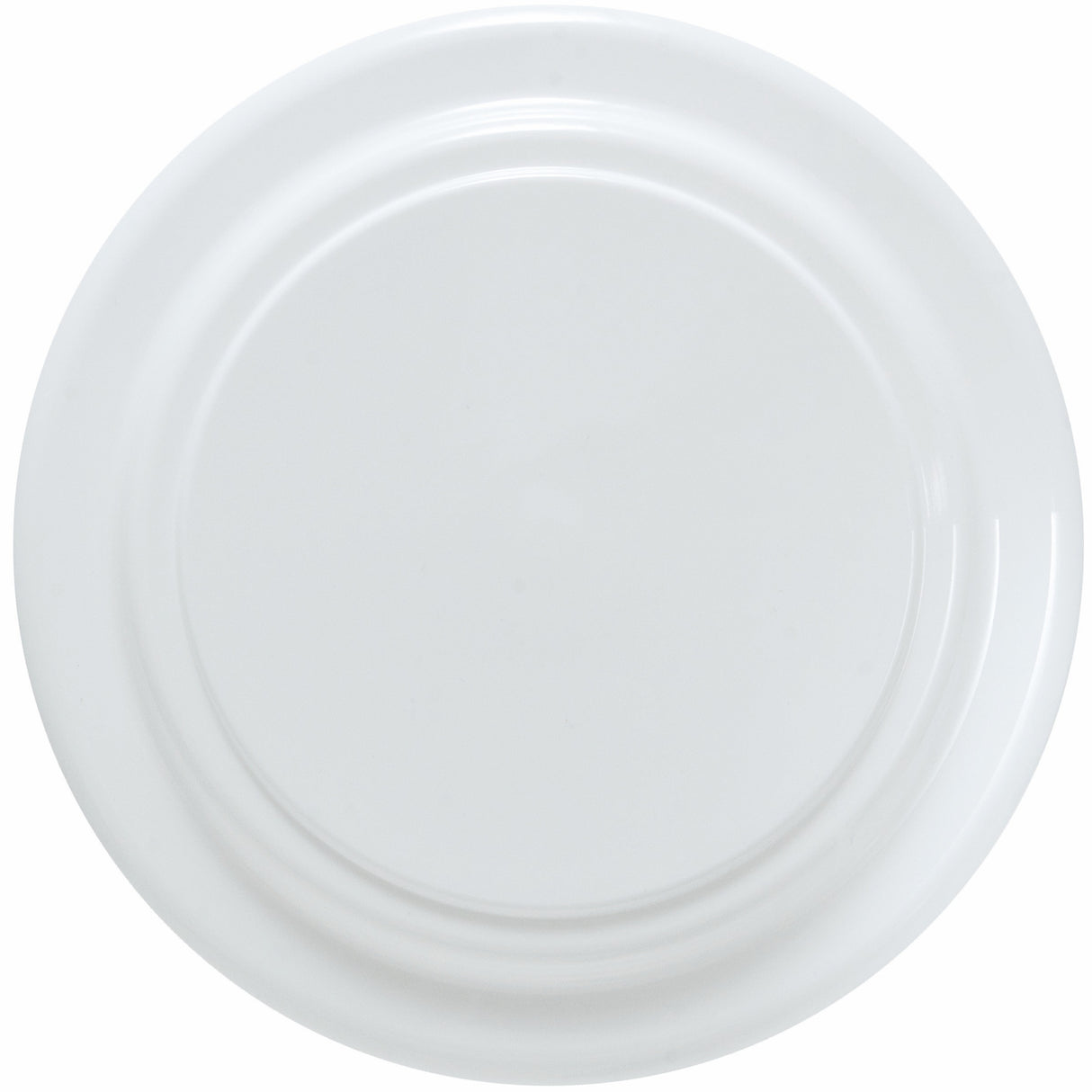 9" Fido Friendly Flyer