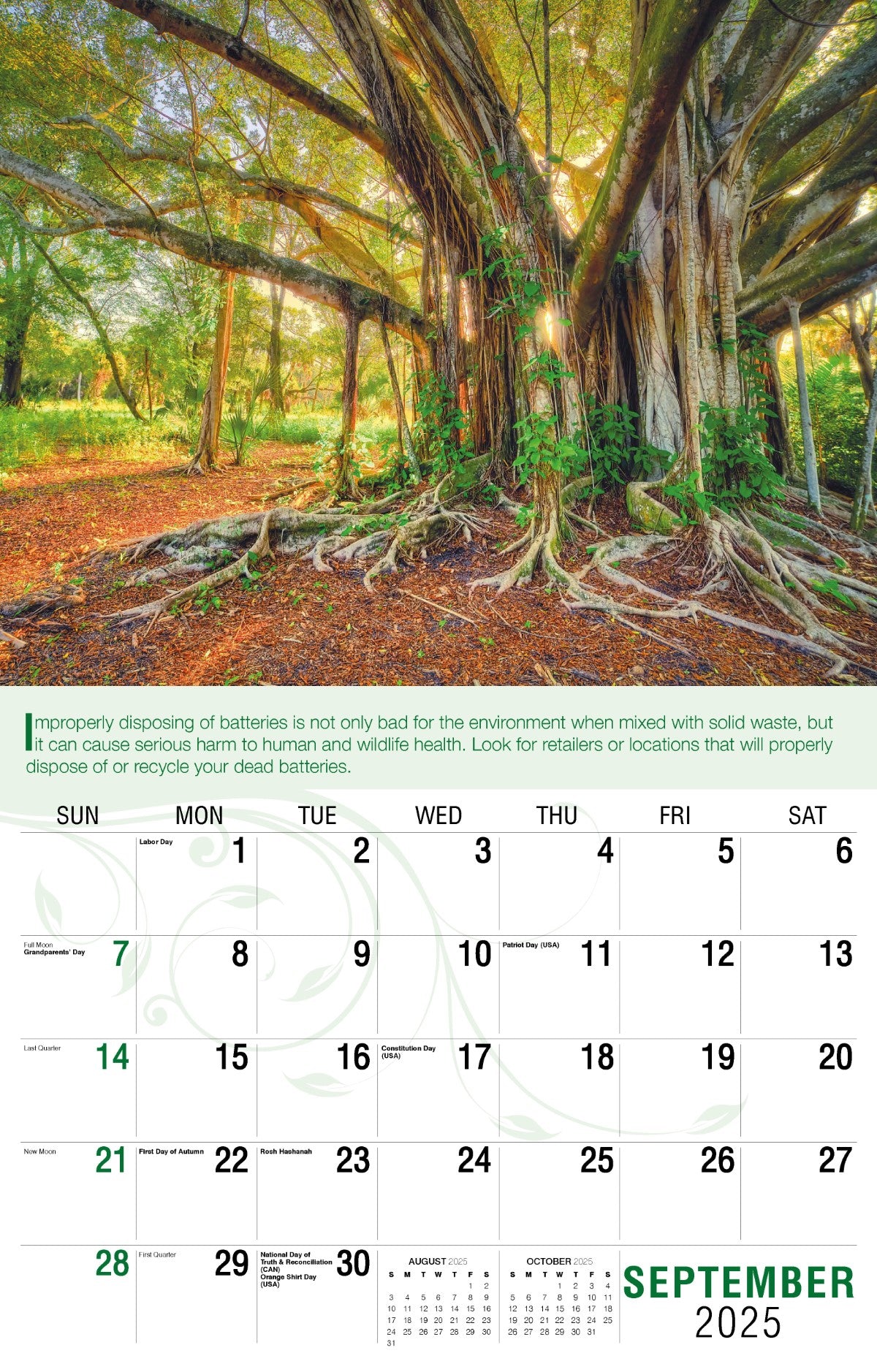 Galleria Wall Calendar 2025 Go Green Calendar
