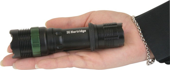 Trion Dual Output LED (CREE® XP-E R2 3 Watt)