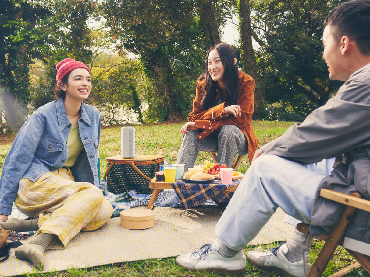 Sony XE200 Bluetooth Speaker