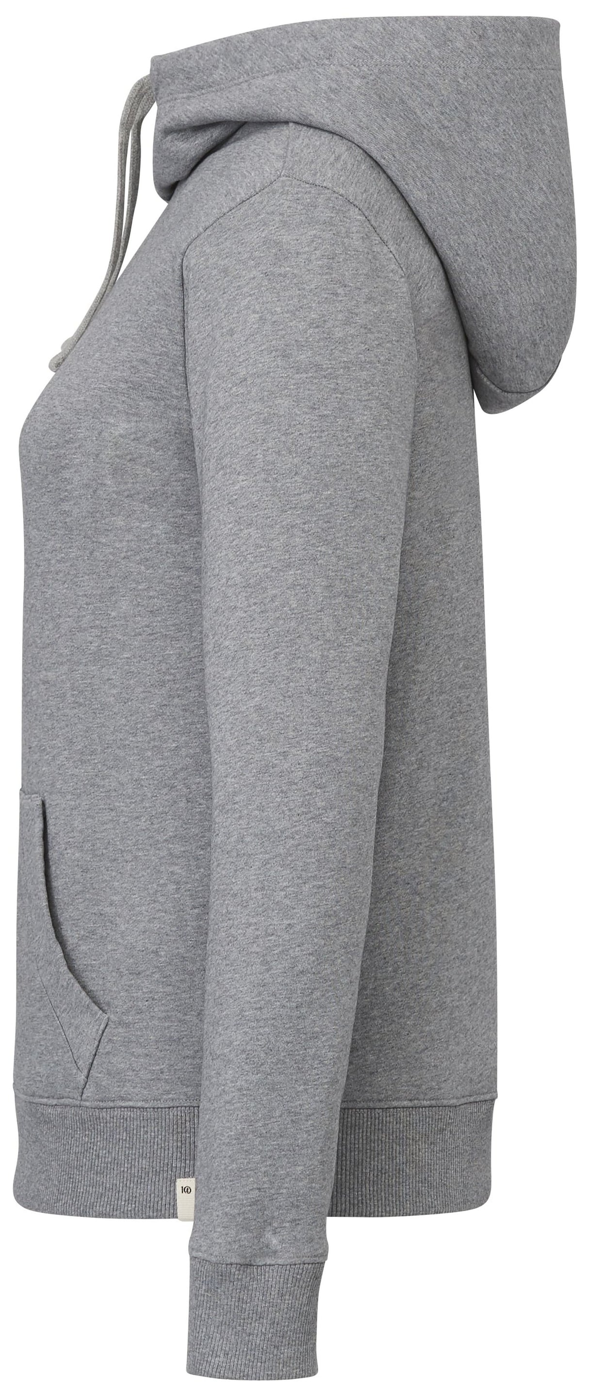 tentree Organic Cotton Banshee Hoodie - Women's