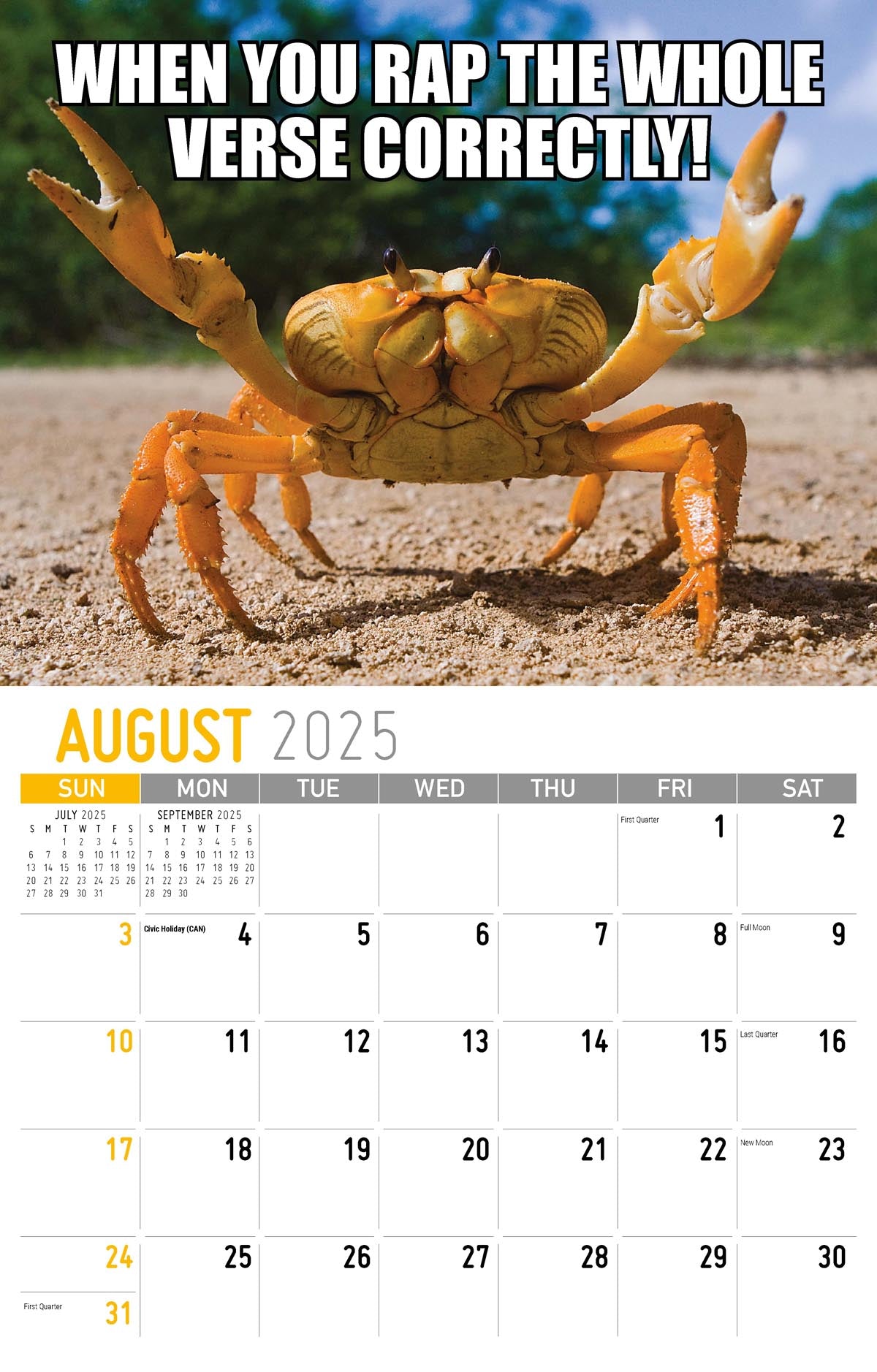 Galleria Wall Calendar 2025 The Memeing Of Life