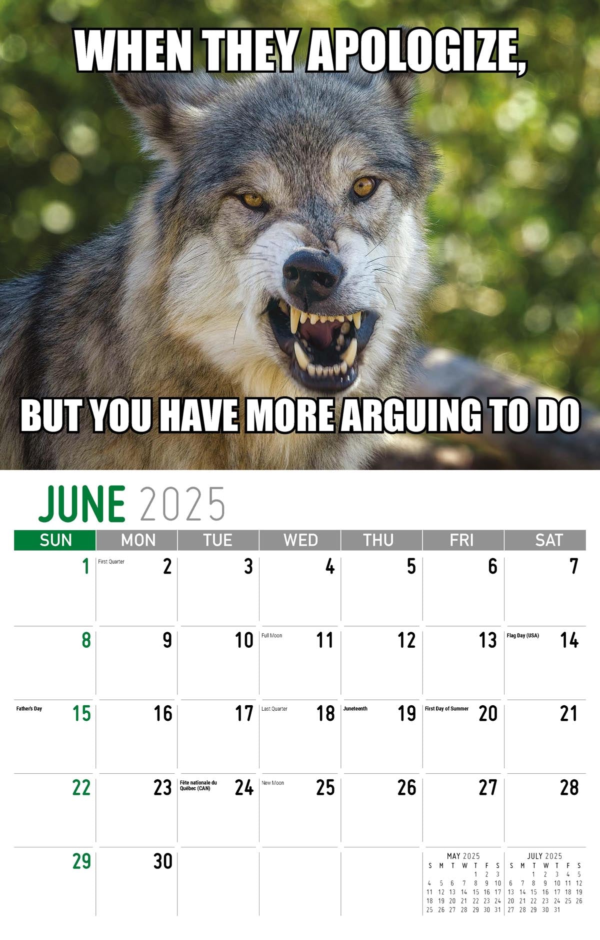 Galleria Wall Calendar 2025 The Memeing Of Life