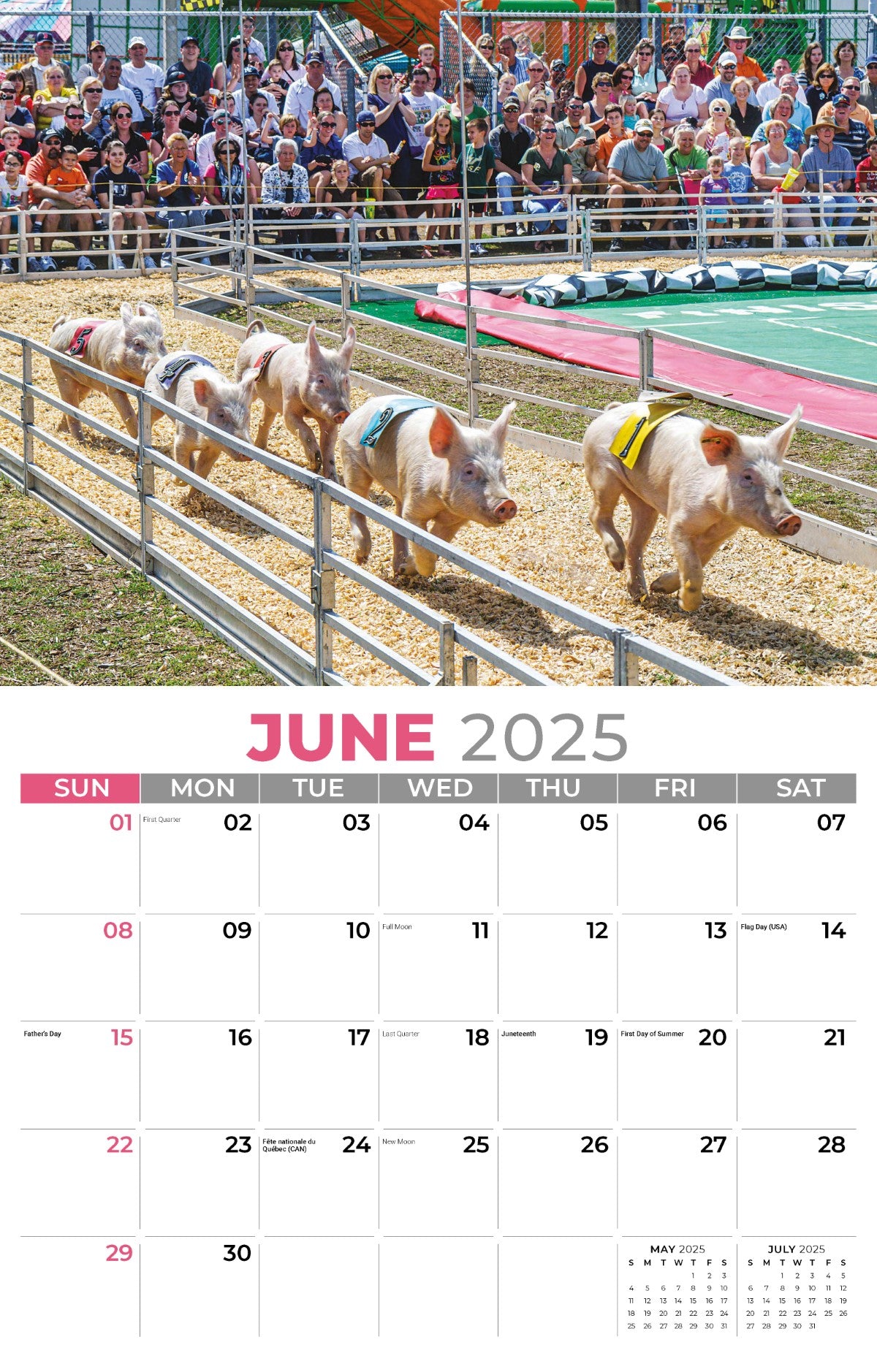 Galleria Wall Calendar 2025 Country Spirit