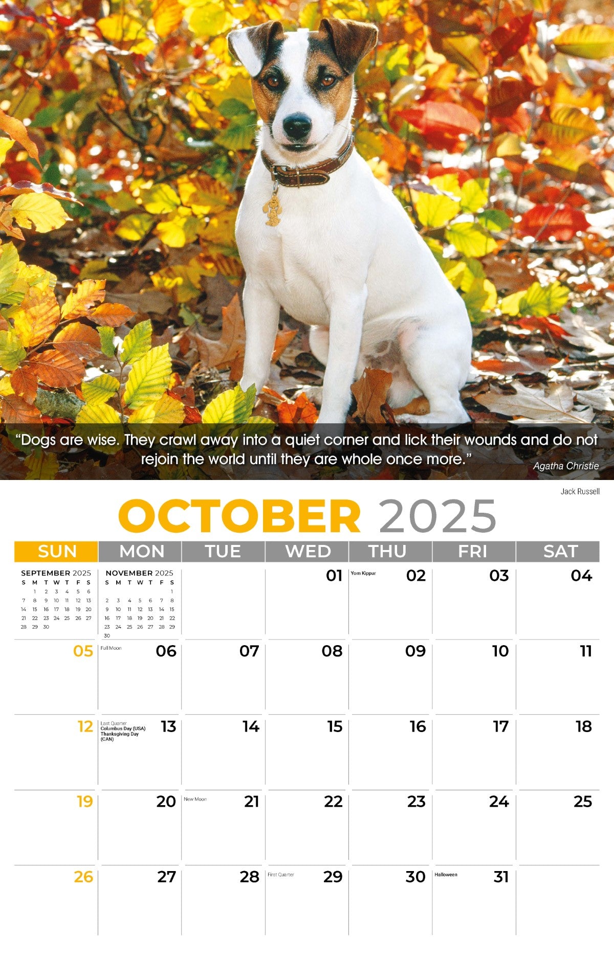 Galleria Wall Calendar 2025 Dogs Calendar