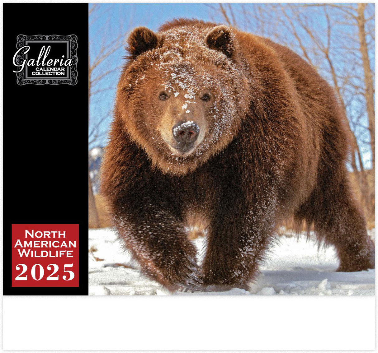 Galleria Wall Calendar 2025 North American Wildlife