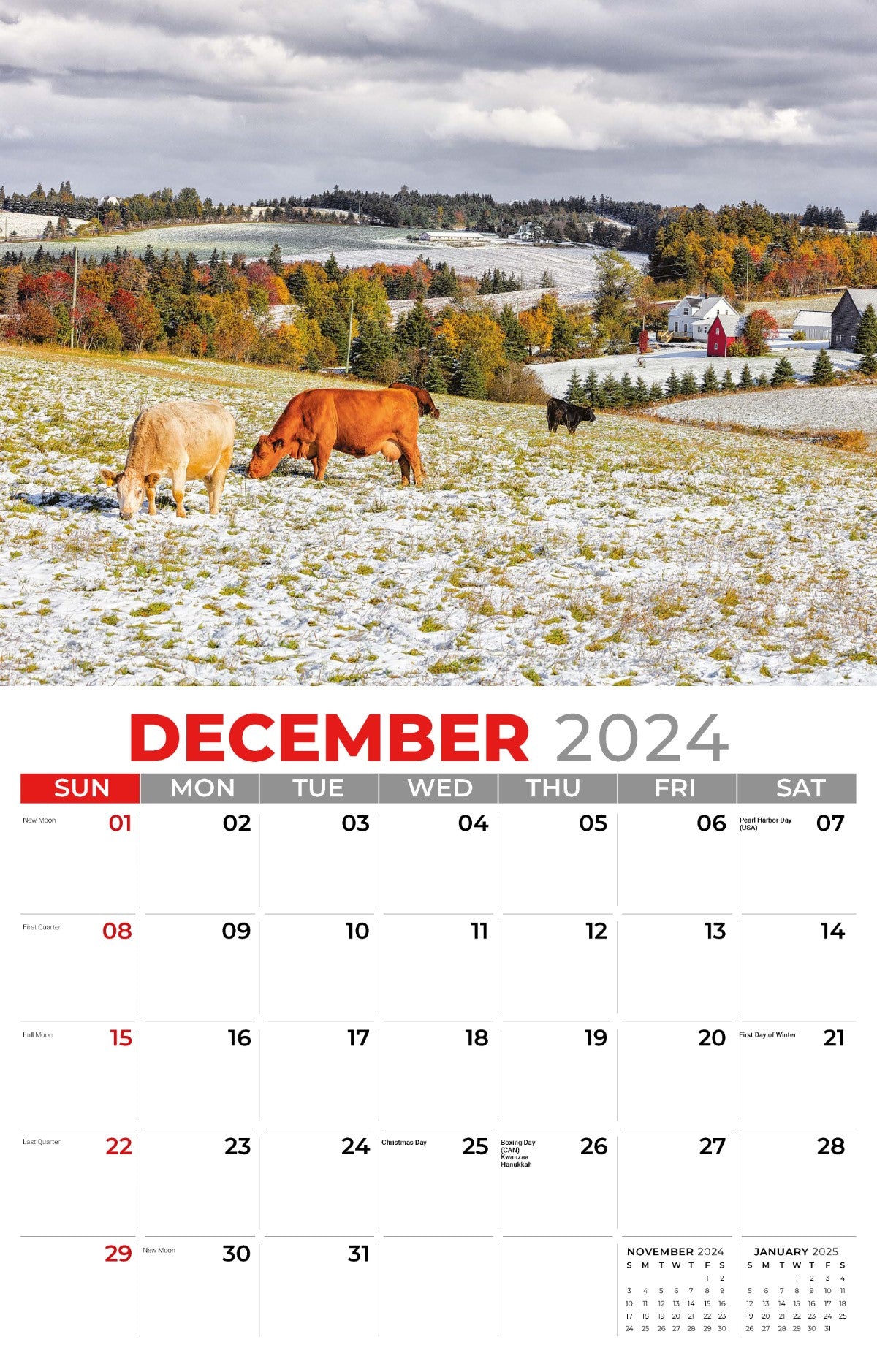 Galleria Wall Calendar 2025 Country Spirit
