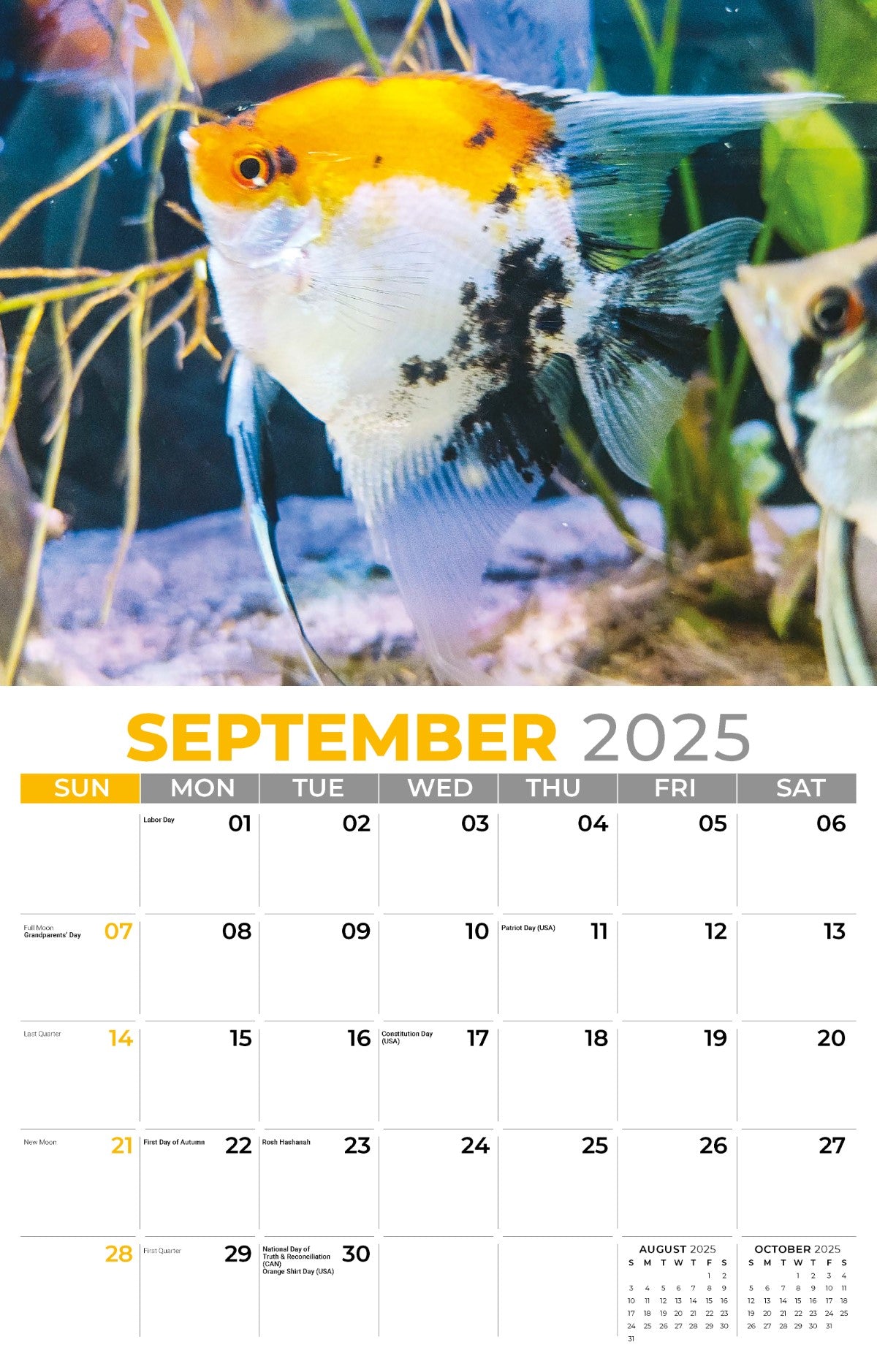 Galleria Wall Calendar 2025 Pets