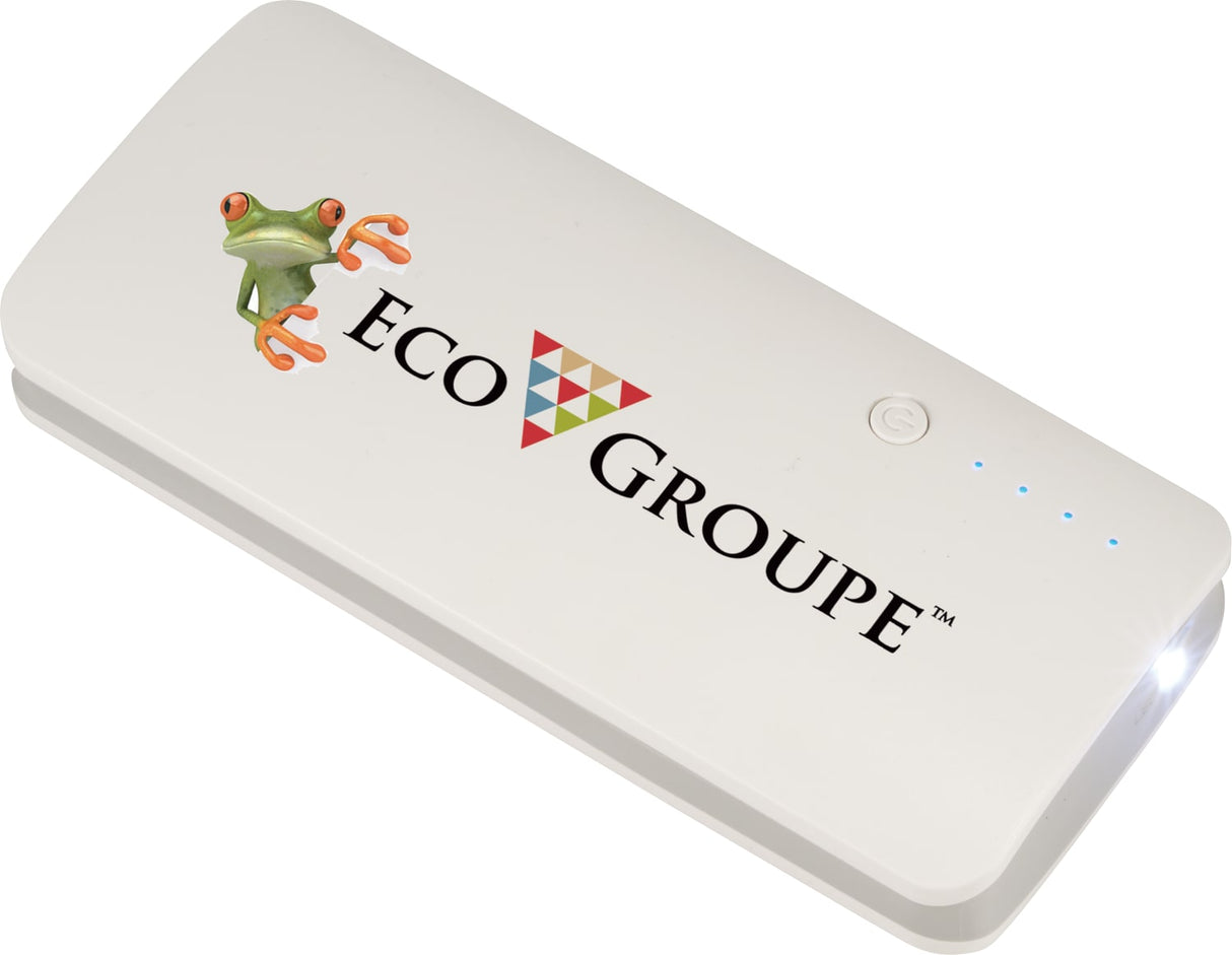 Spare 10000 mAh Power Bank