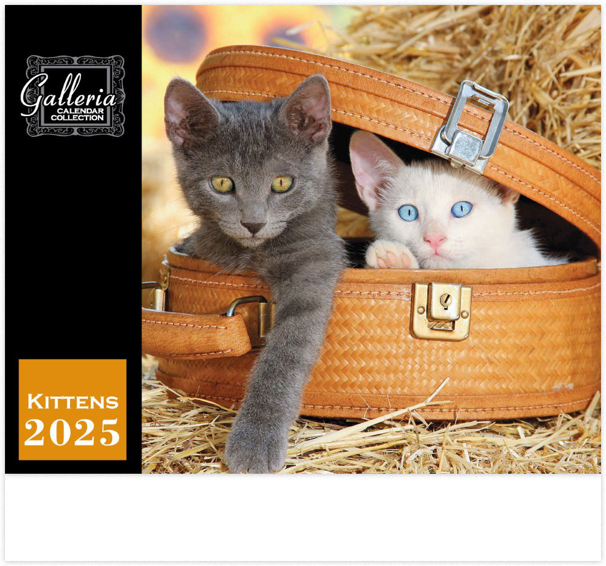 Galleria Wall Calendar 2025 Kittens Calendar