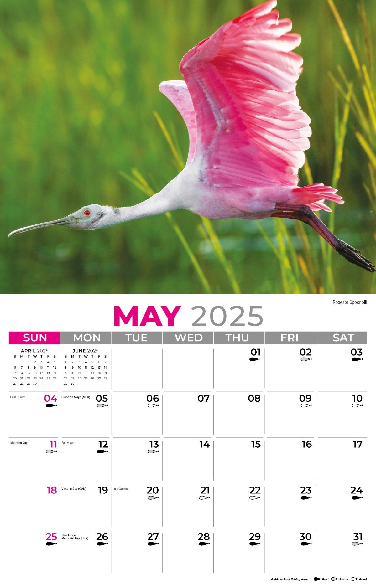 Galleria Wall Calendar 2025 North American Wildlife