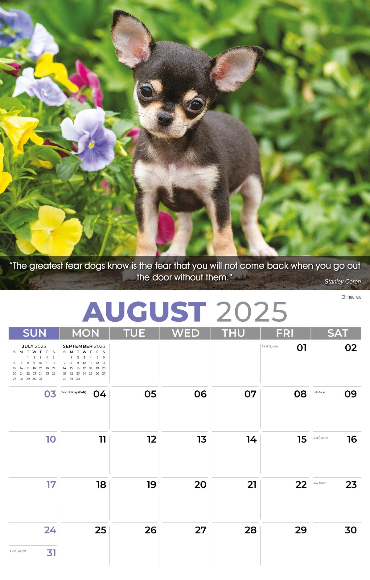 Galleria Wall Calendar 2025 Dogs Calendar