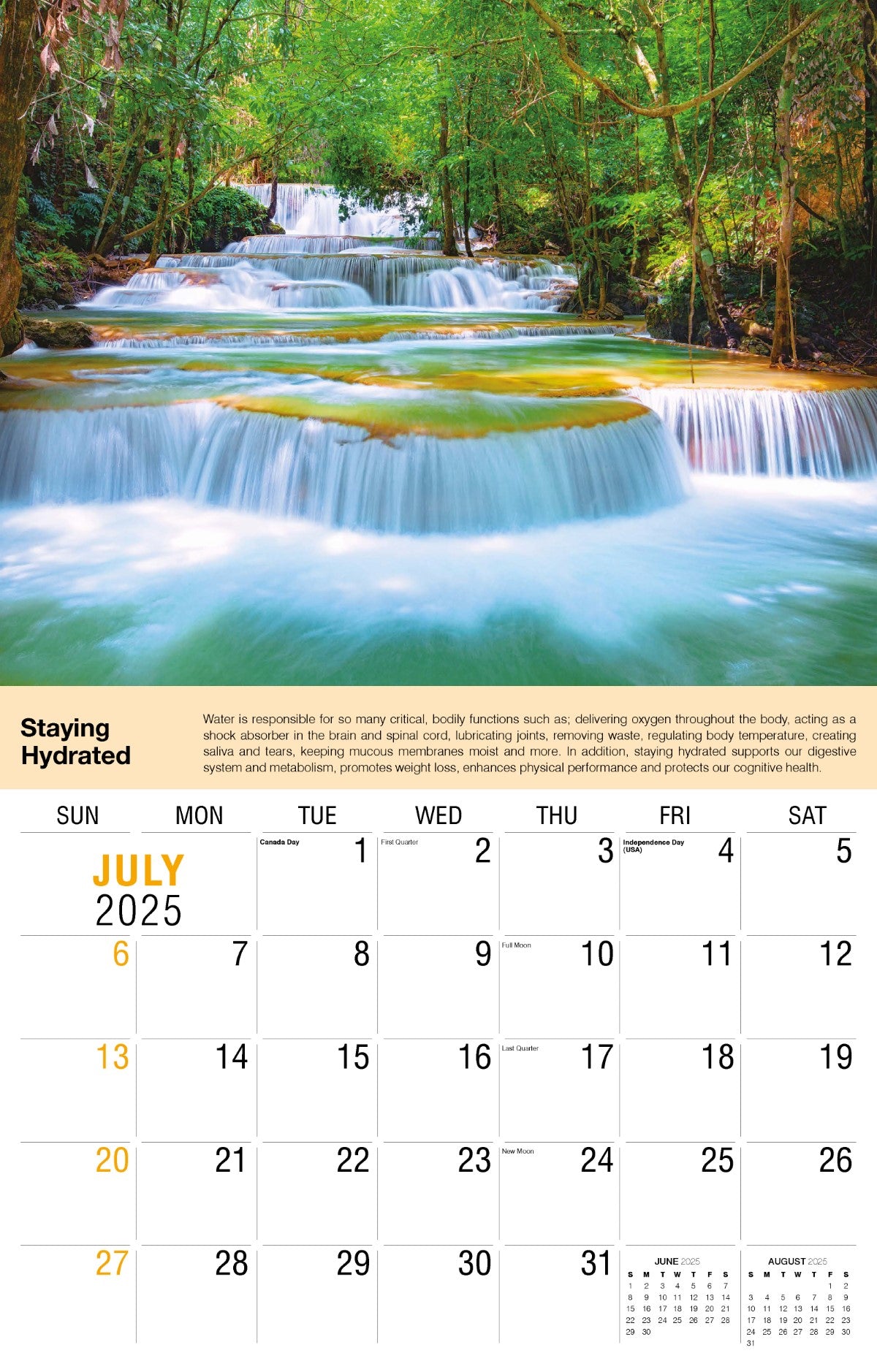 Galleria Wall Calendar 2025 Health Tips