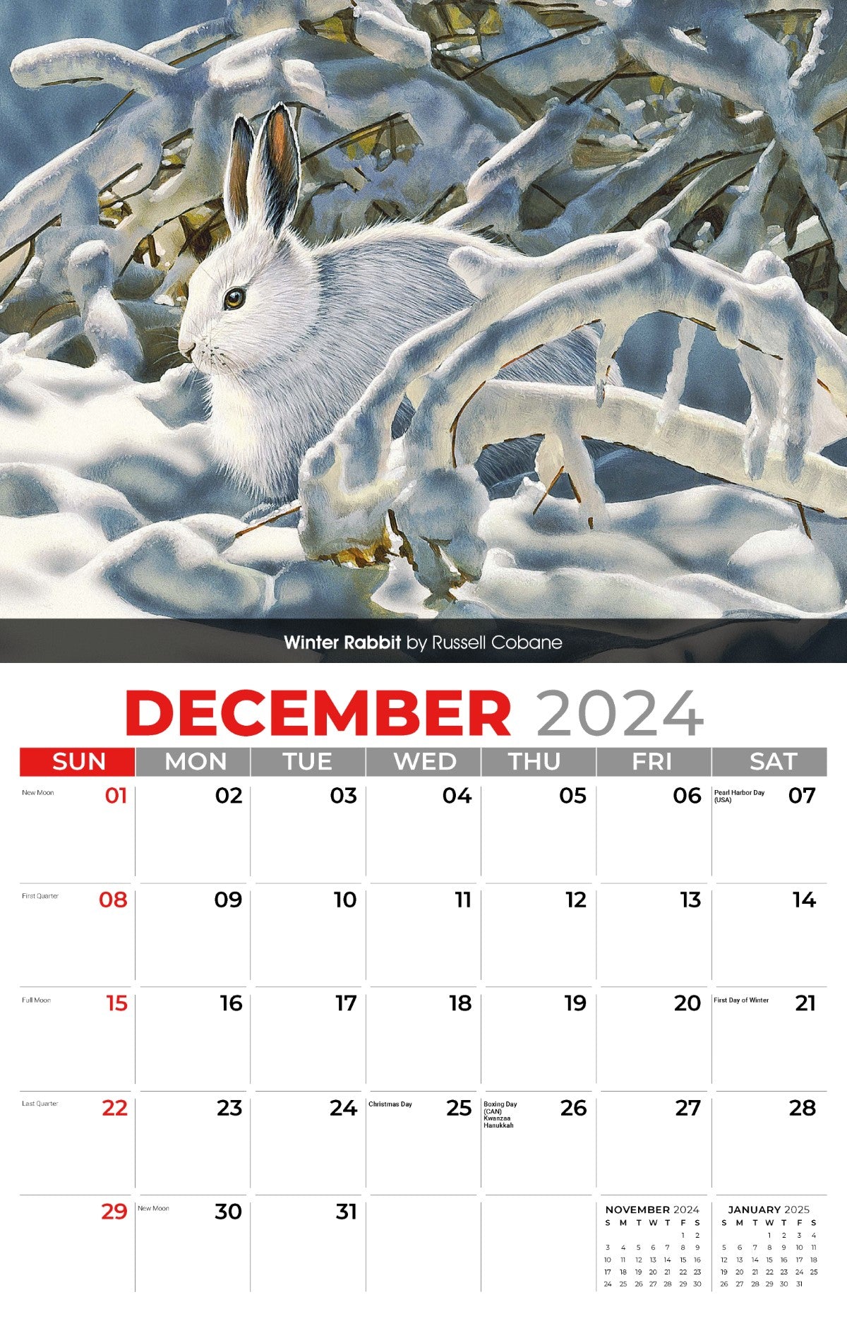 Galleria Wall Calendar 2025 Wildlife Portraits