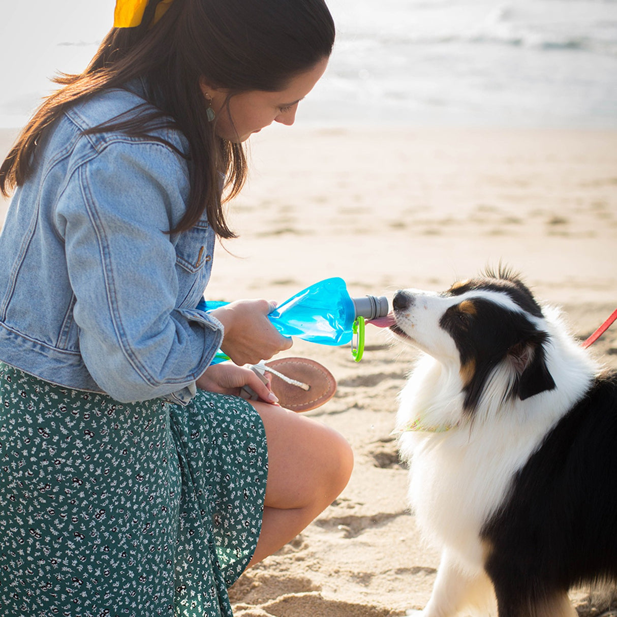 Vapur® Ez Lick Portable Dog Water Bottle