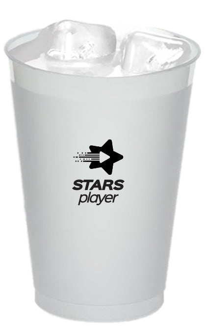 Stadium Cup 20oz Frosted plastic tumbler