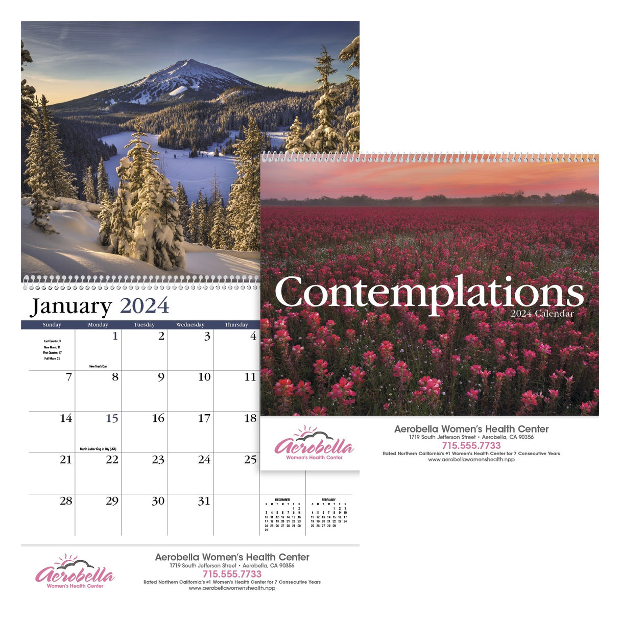Contemplations Appointment Calendar - Spiral