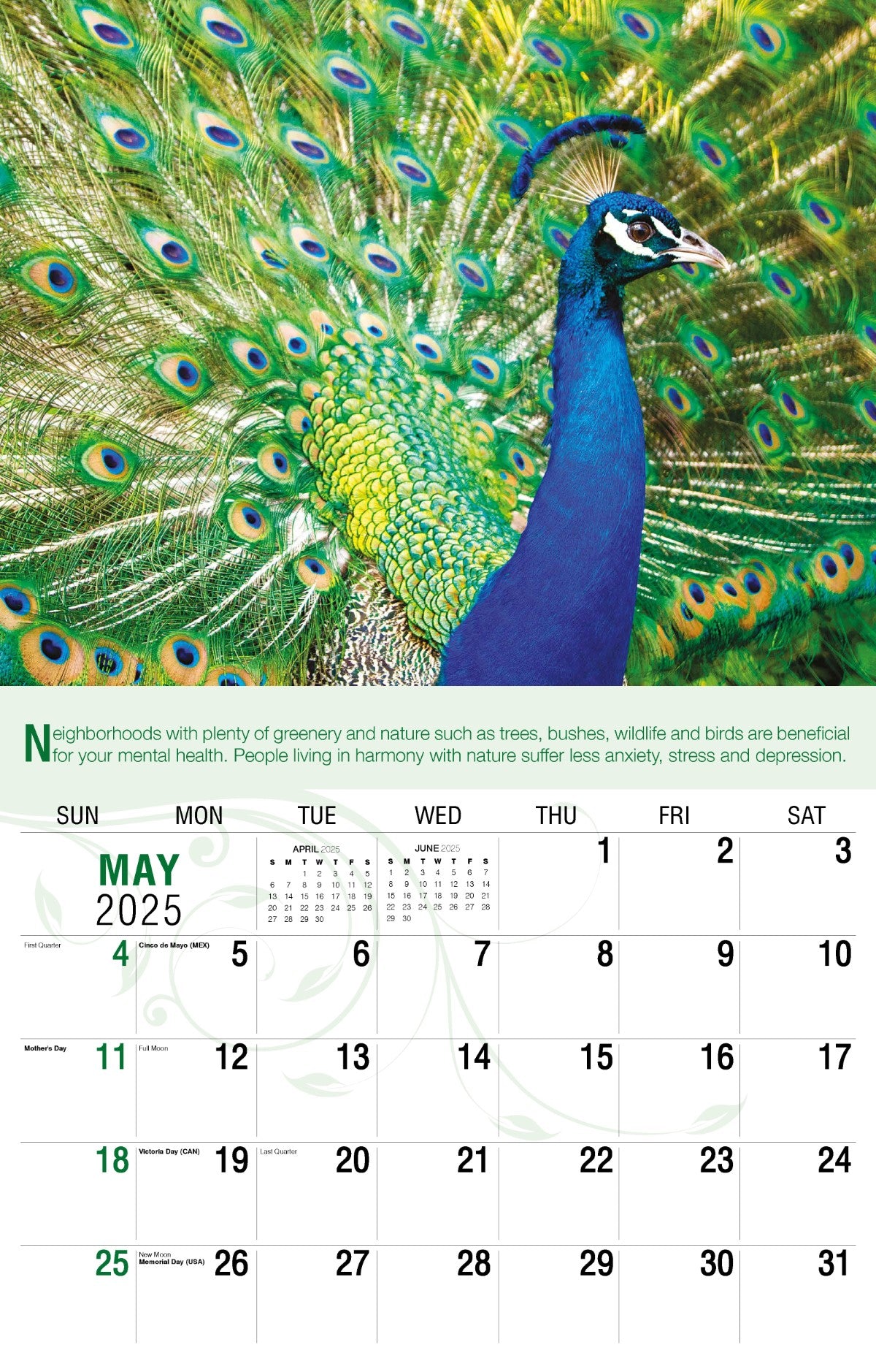 Galleria Wall Calendar 2025 Go Green Calendar