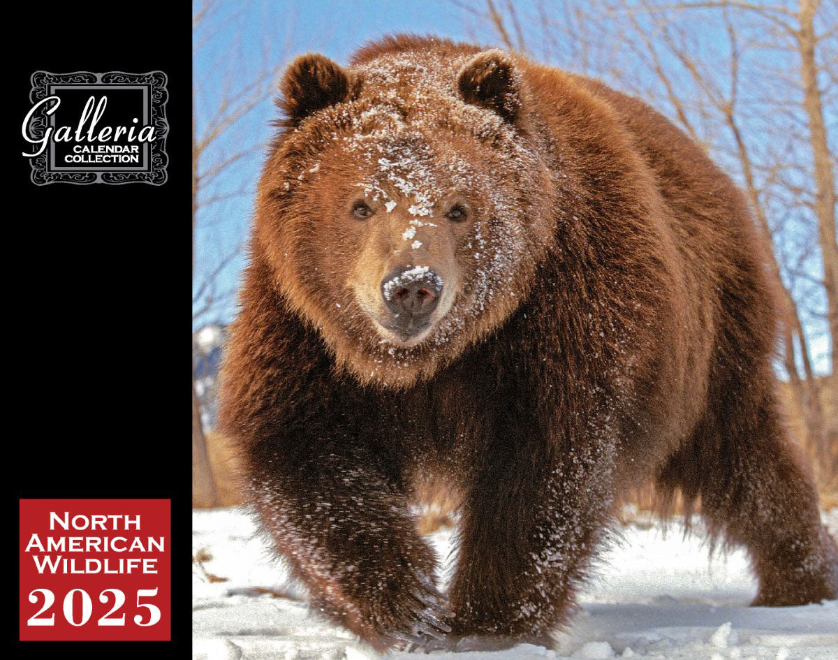 Galleria Wall Calendar 2025 North American Wildlife