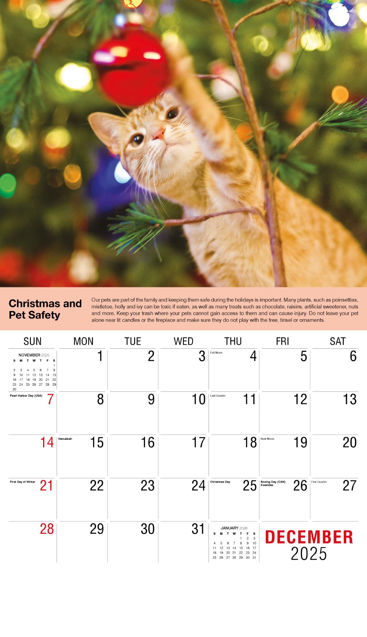 Galleria Wall Calendar 2025 Health Tips