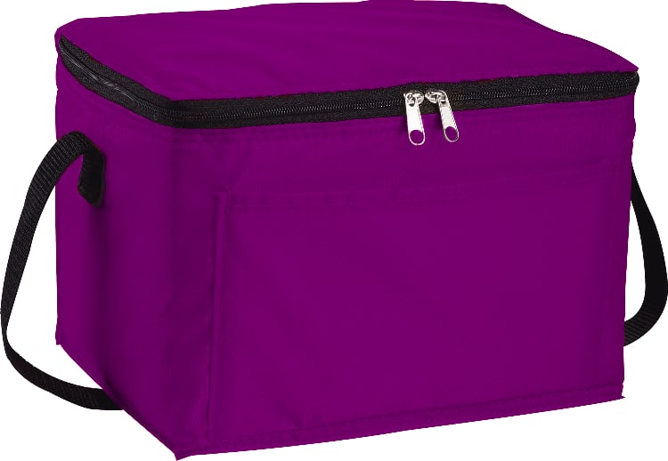 Spectrum Budget 6-Can Lunch Cooler