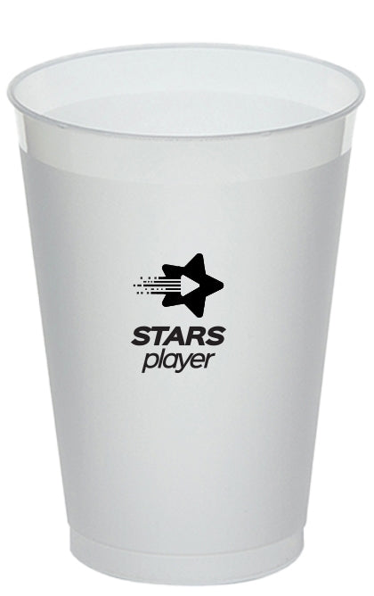Stadium Cup 20oz Frosted plastic tumbler