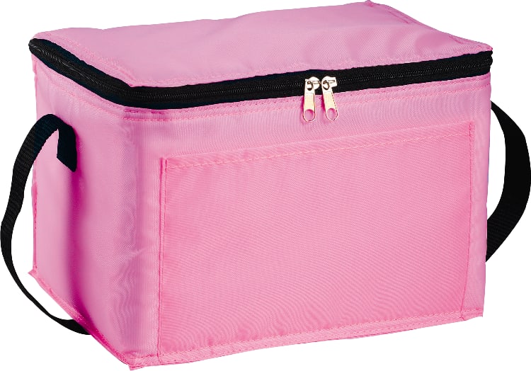 Spectrum Budget 6-Can Lunch Cooler