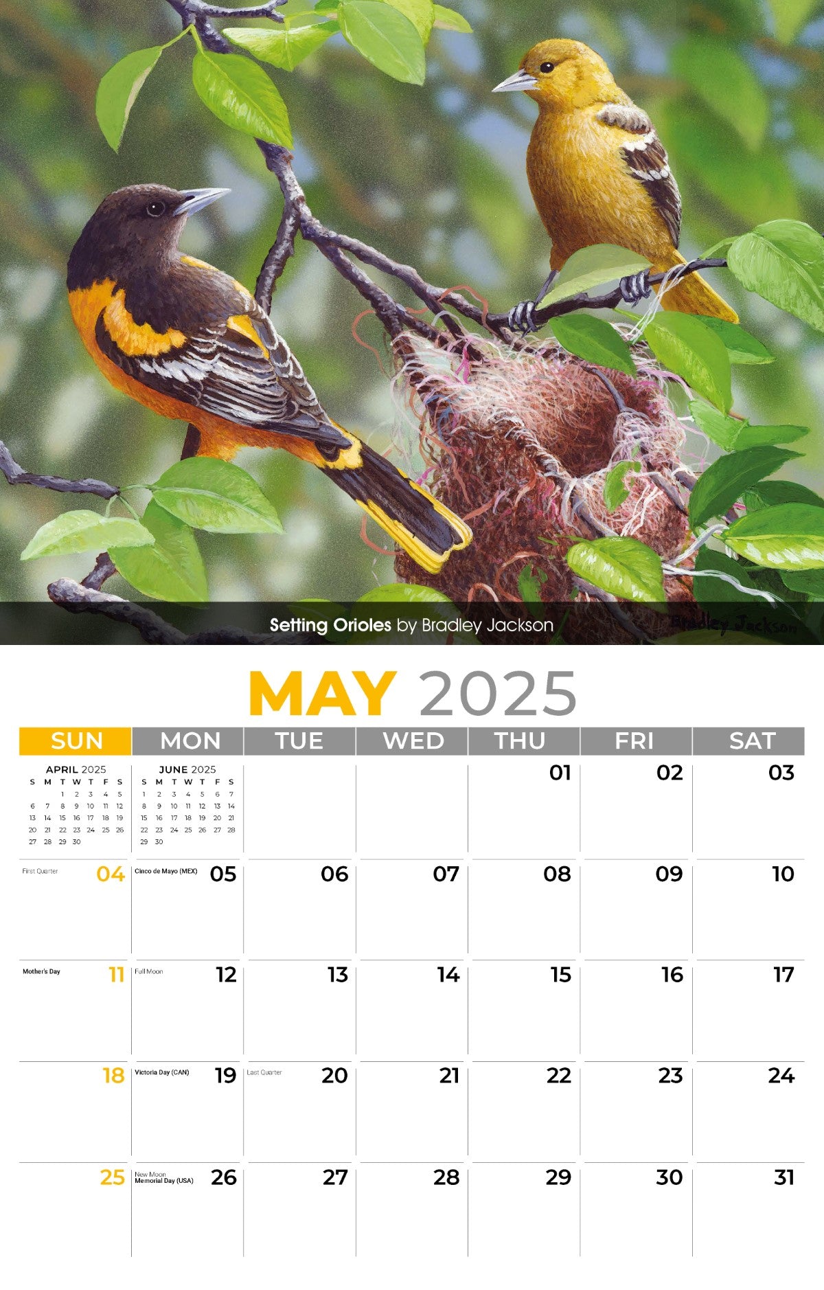 Galleria Wall Calendar 2025 Garden Birds