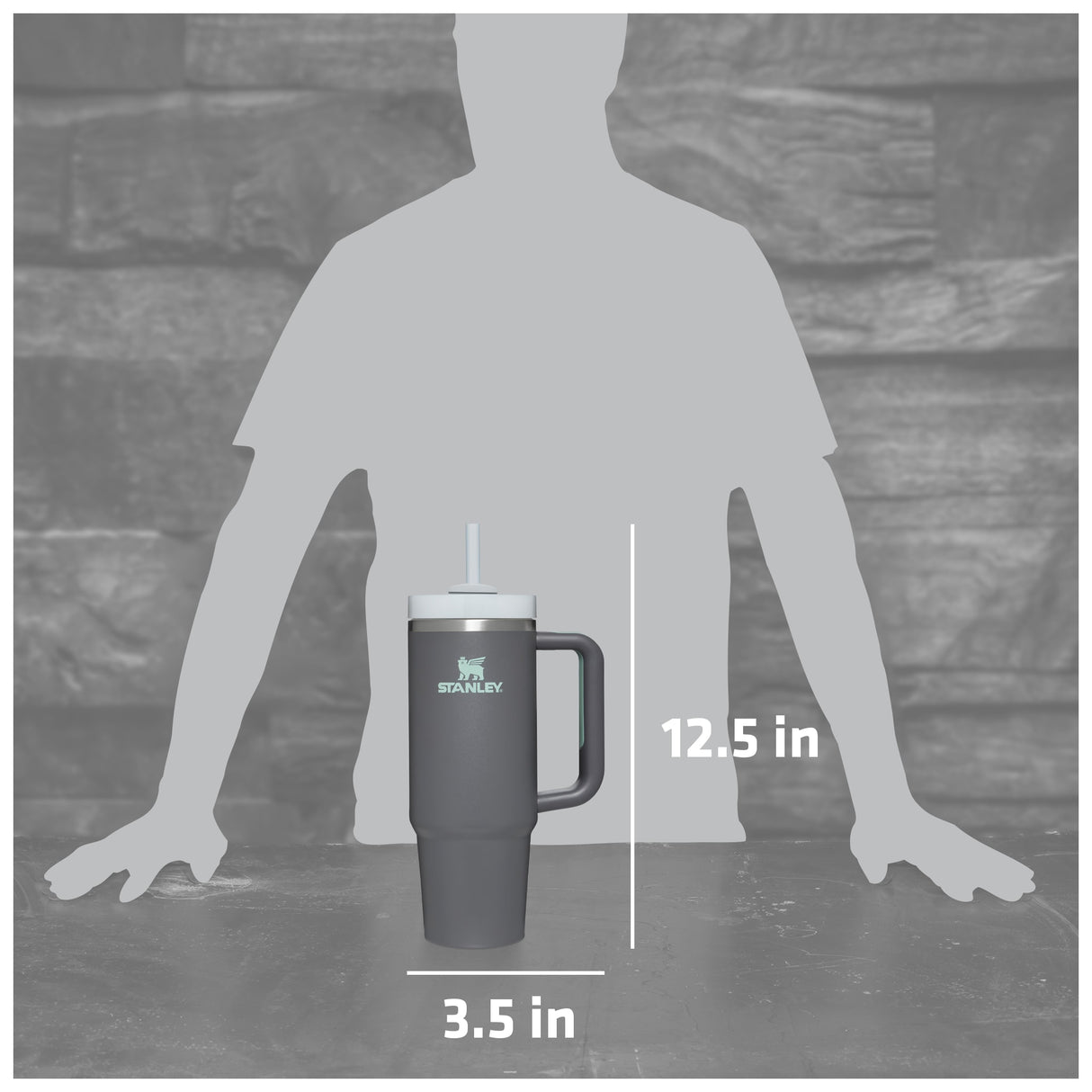 Stanley Quencher H2.O FlowState Tumbler 30oz