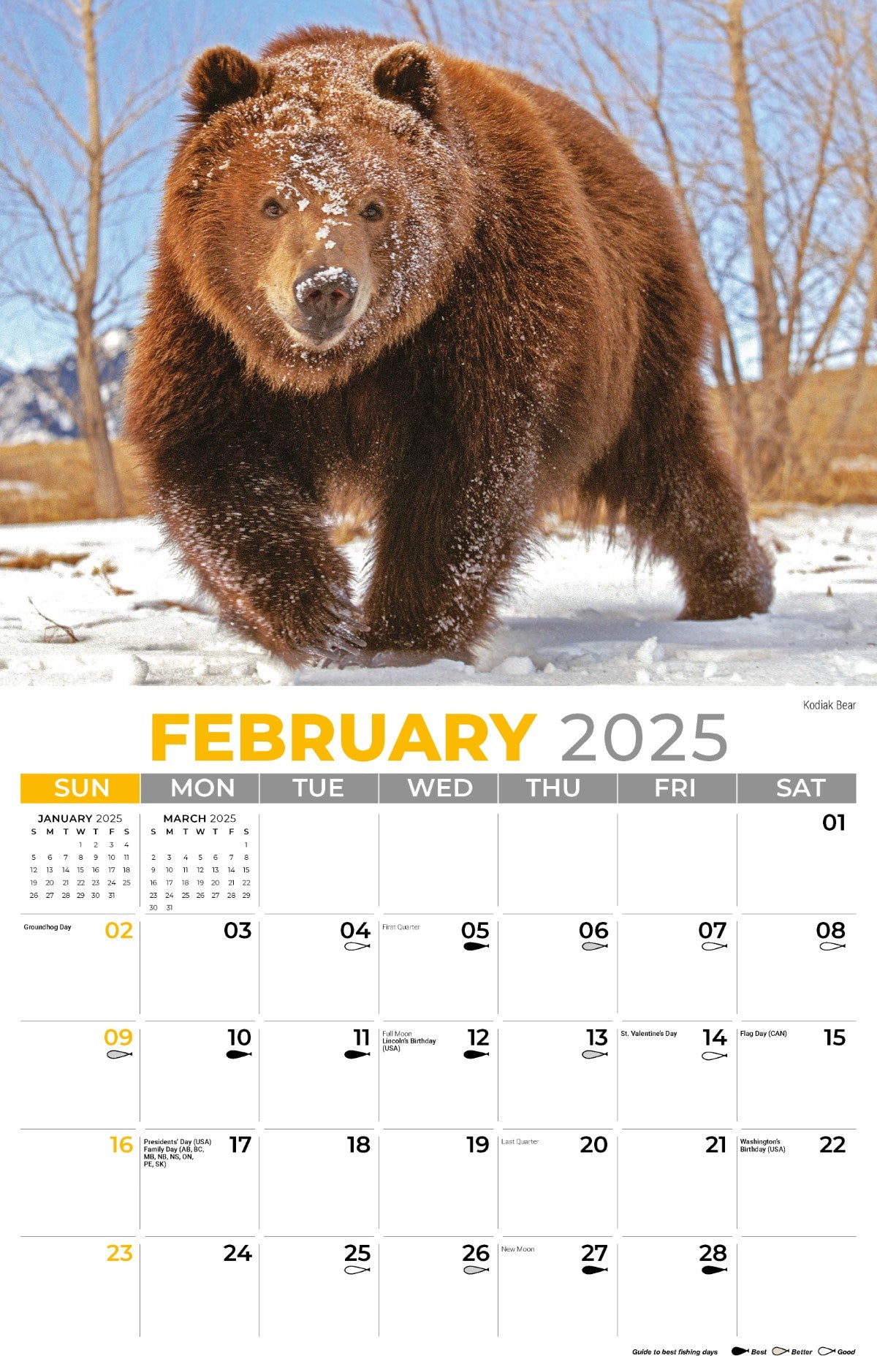 Galleria Wall Calendar 2025 North American Wildlife