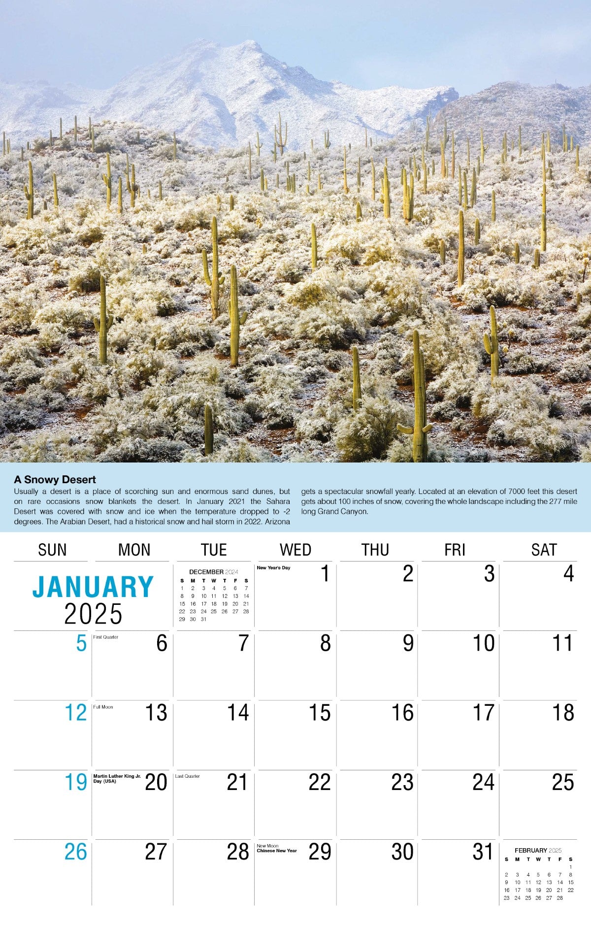 Galleria Wall Calendar 2025 Planet Earth Calendar