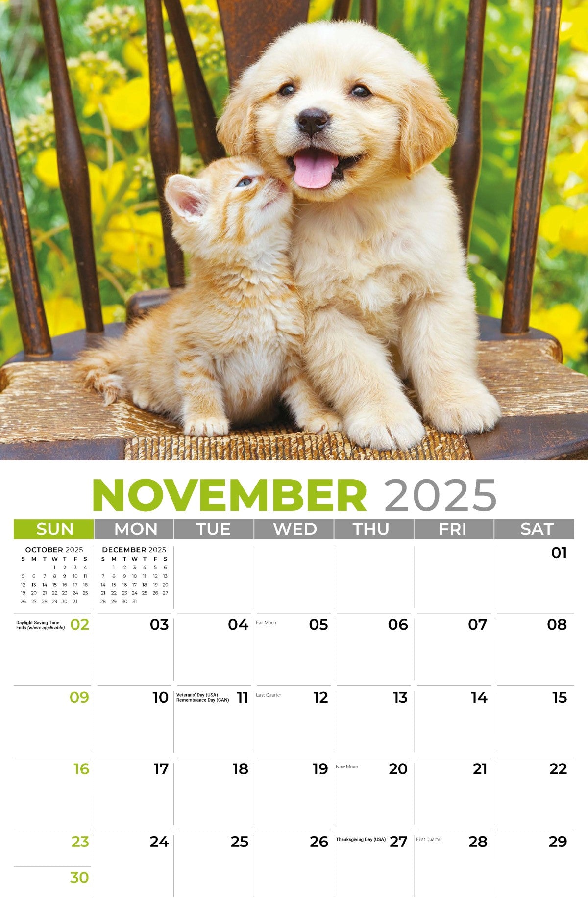 Galleria Wall Calendar 2025 Pets