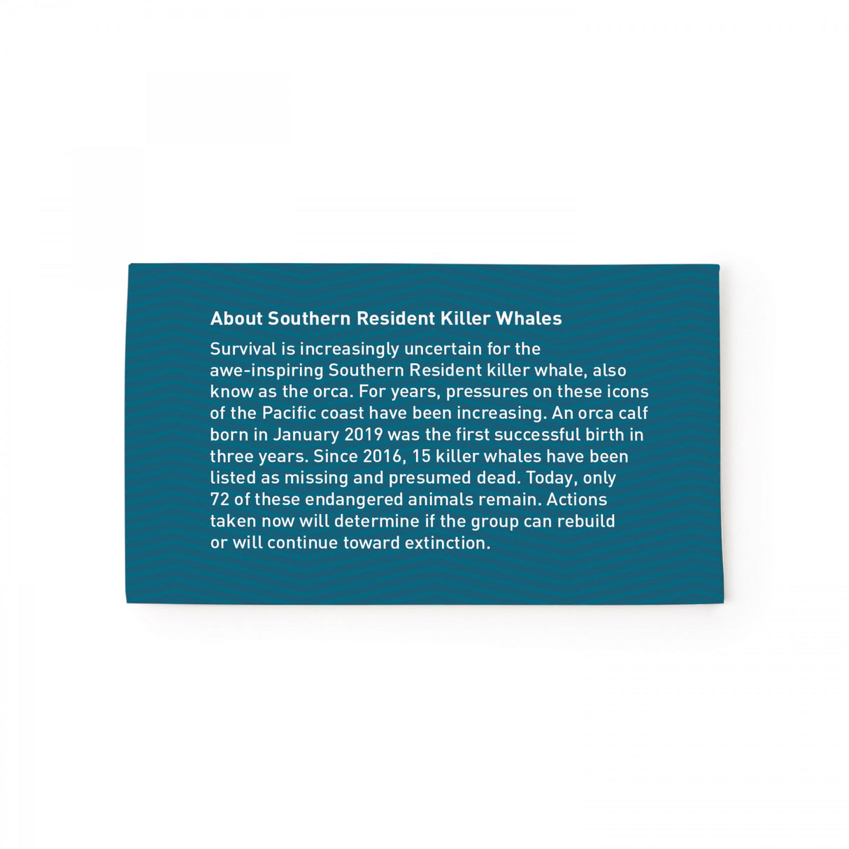 With Kiwi Scent And Large Customizable Sleeve 0 07 Fl Oz / 2 Ml Per Packet