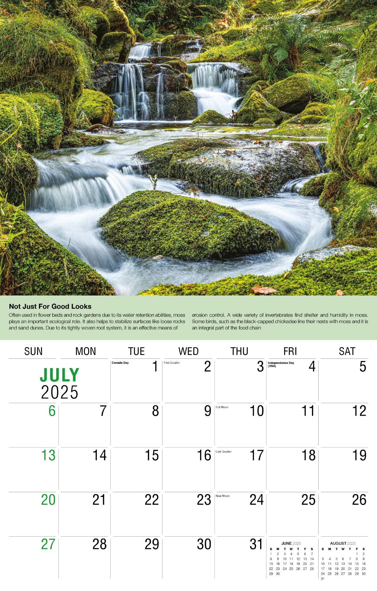 Galleria Wall Calendar 2025 Planet Earth Calendar