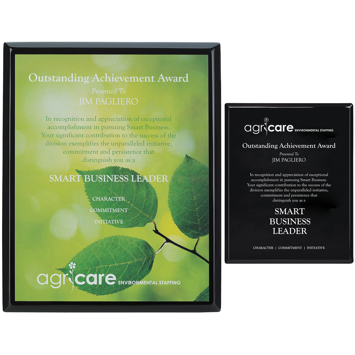 Black Plaque - 8" x 10"