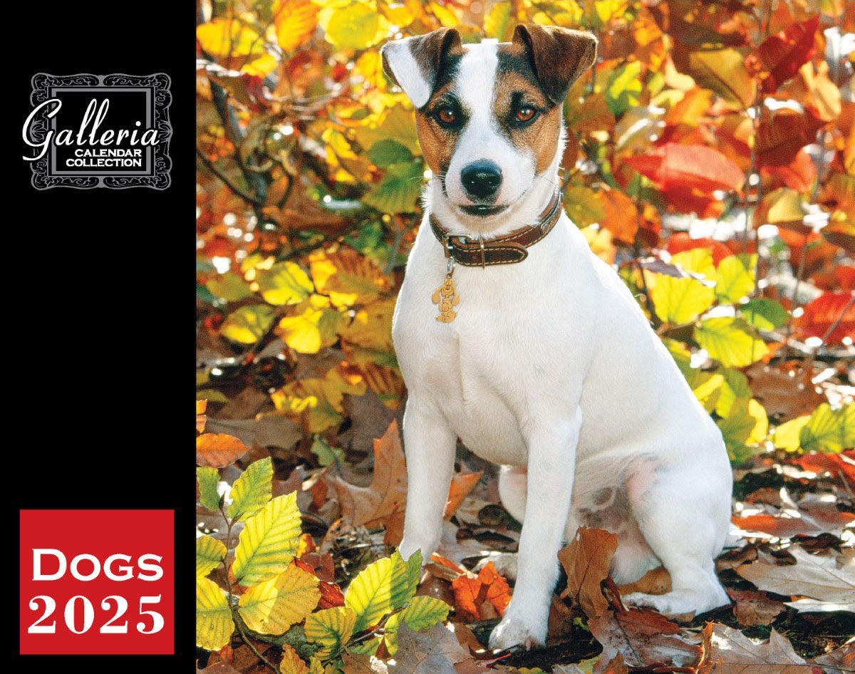 Galleria Wall Calendar 2025 Dogs Calendar