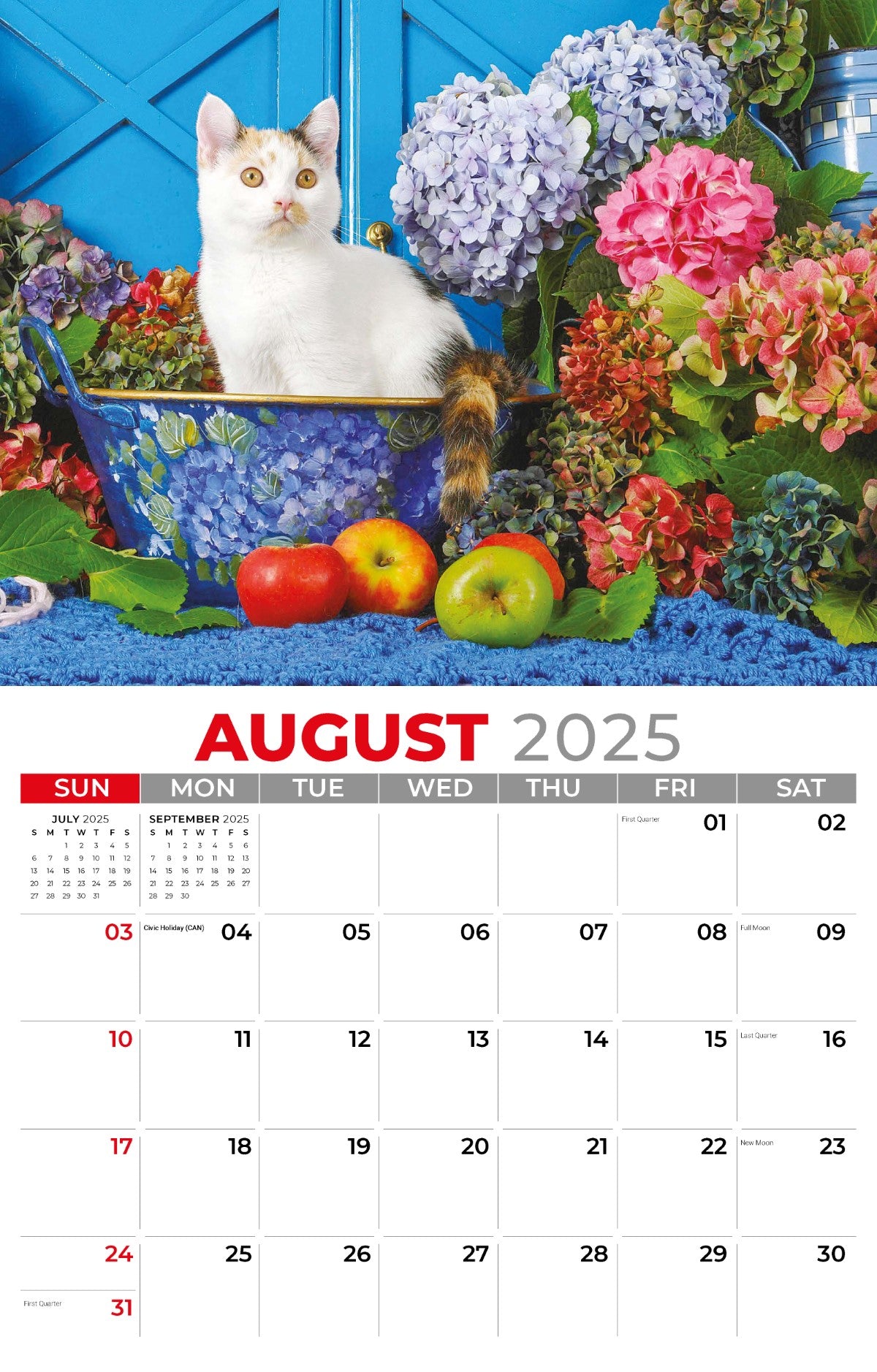 Galleria Wall Calendar 2025 Pets