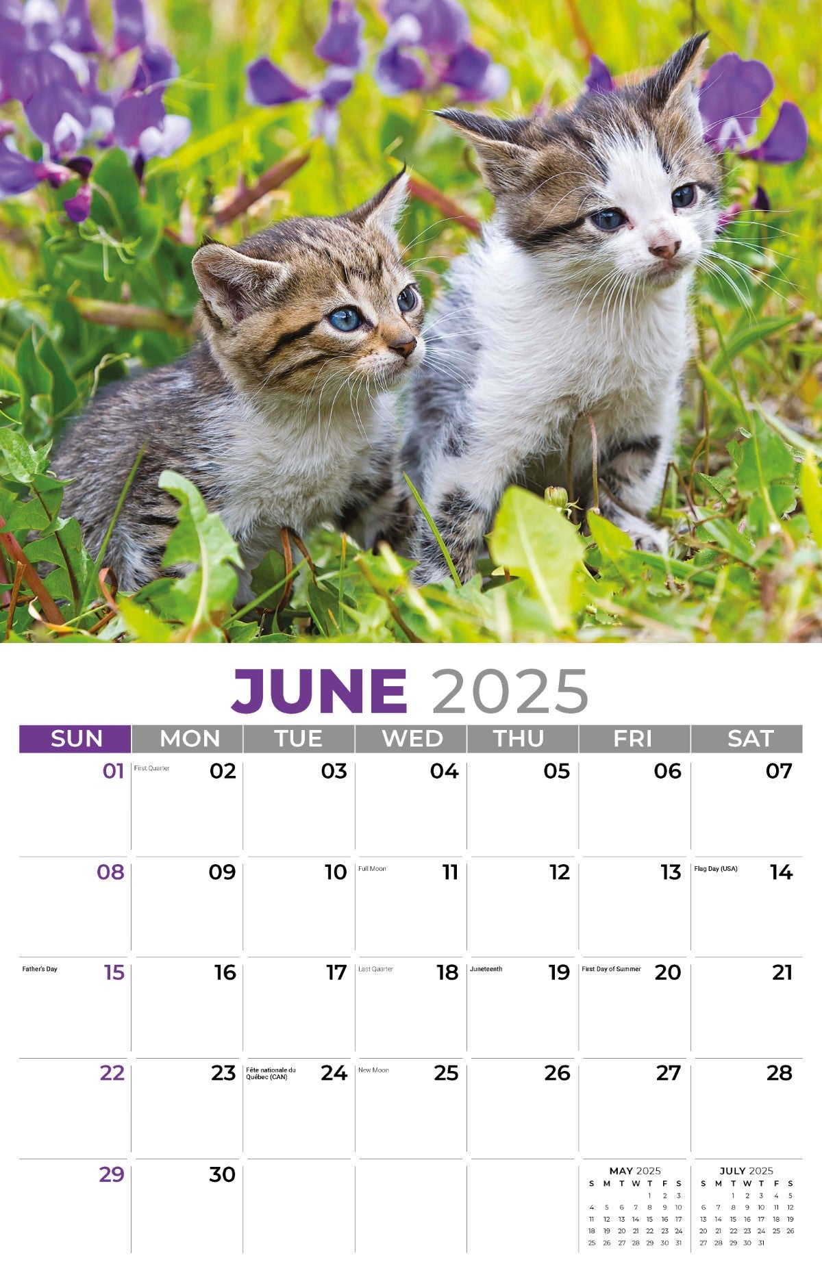 Galleria Wall Calendar 2025 Kittens Calendar