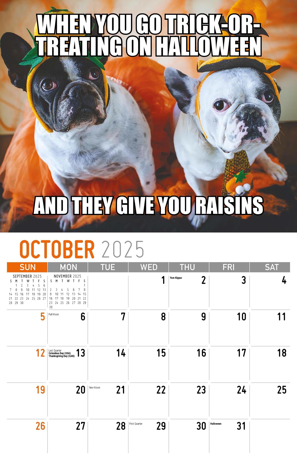 Galleria Wall Calendar 2025 The Memeing Of Life