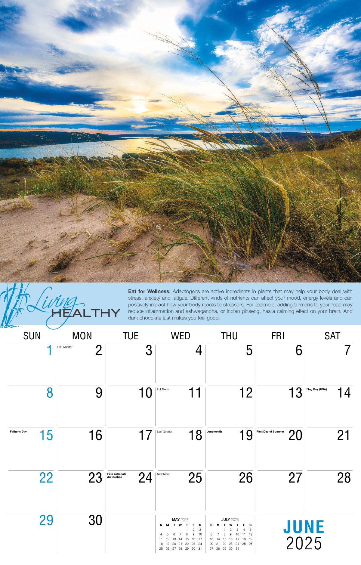Galleria Wall Calendar 2025 Living Healthy