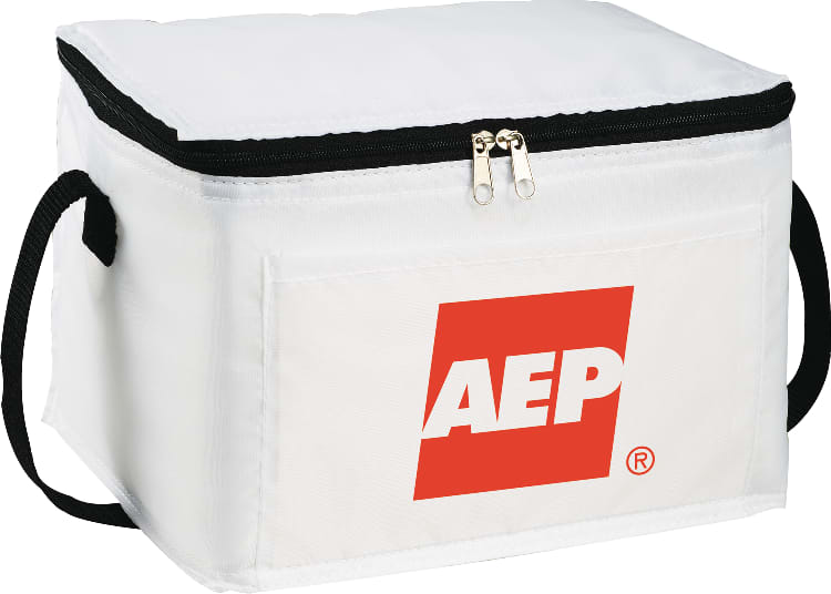 Spectrum Budget 6-Can Lunch Cooler