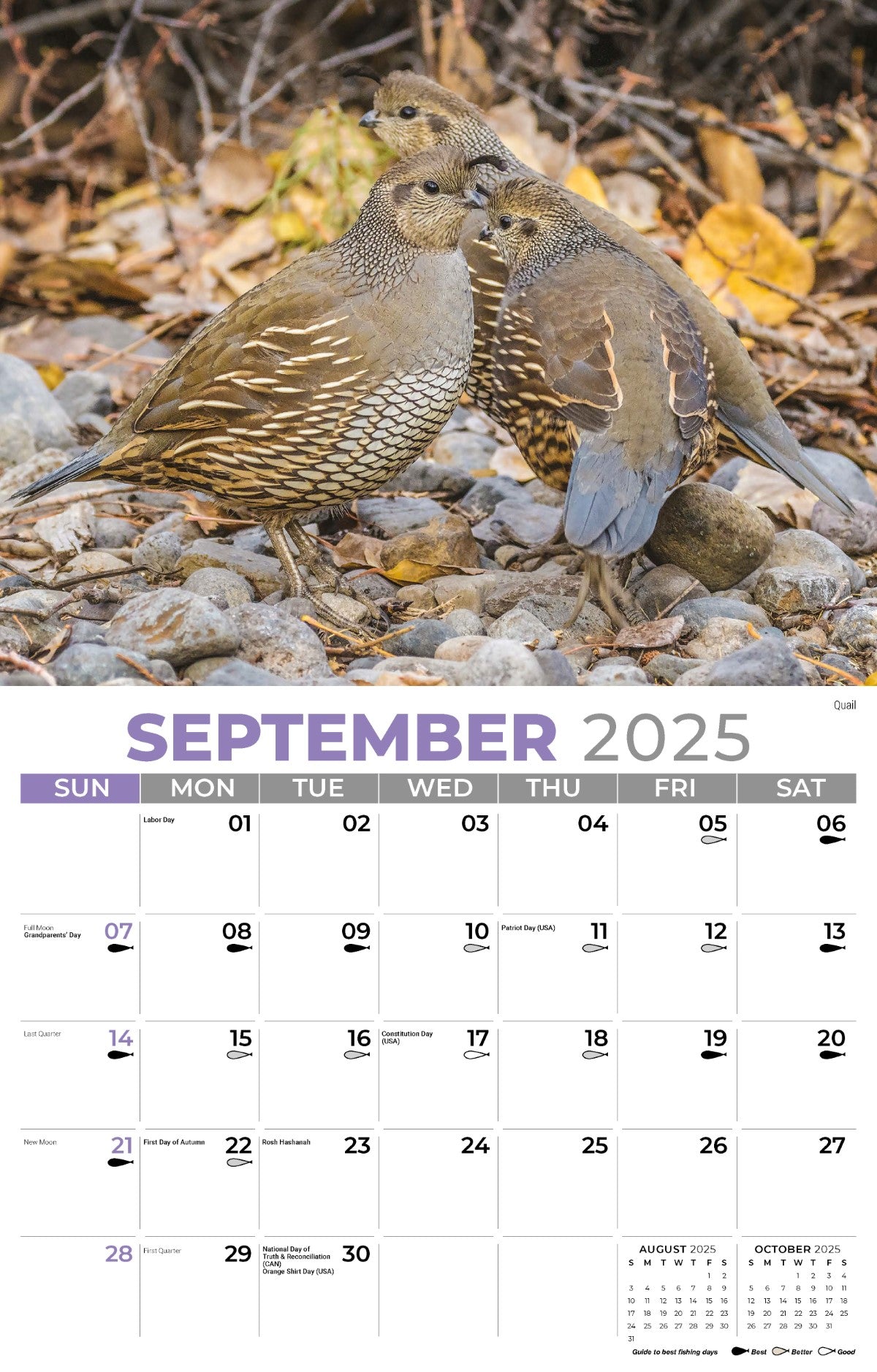 Galleria Wall Calendar 2025 North American Wildlife