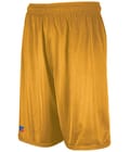 Dri-Power Mesh Shorts