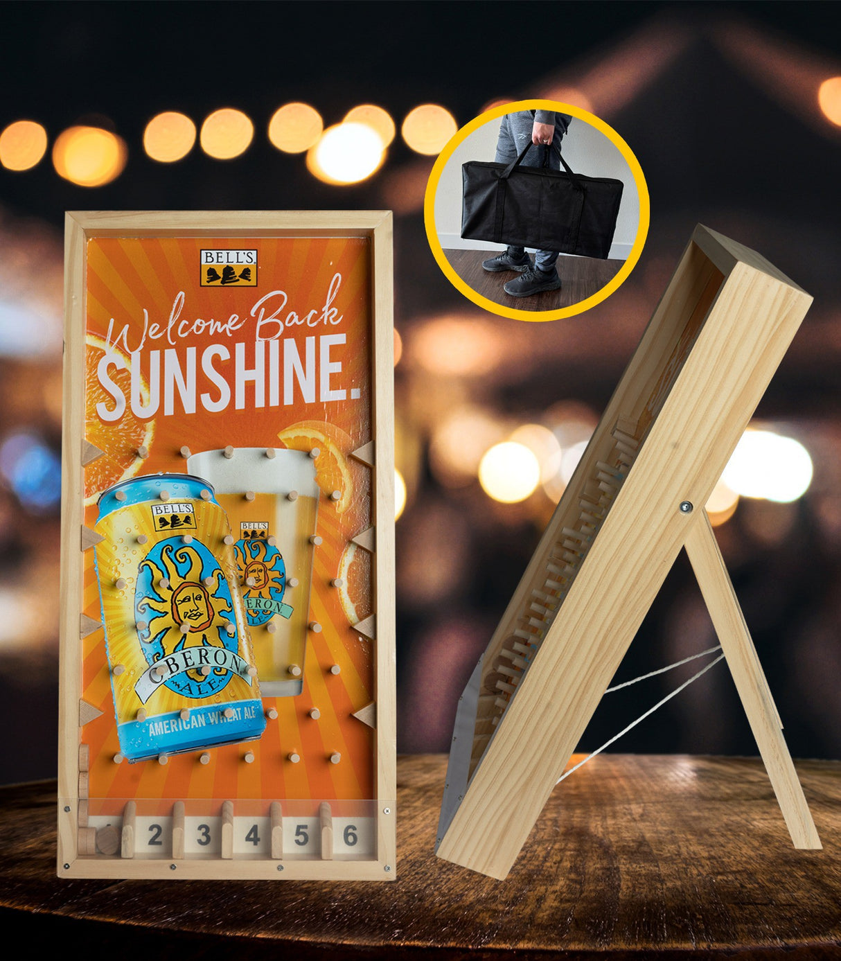 Table Top Disc Drop Game