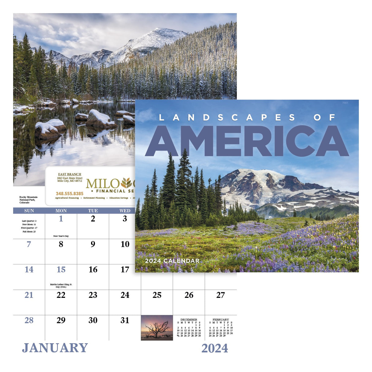 Landscapes of America - Window