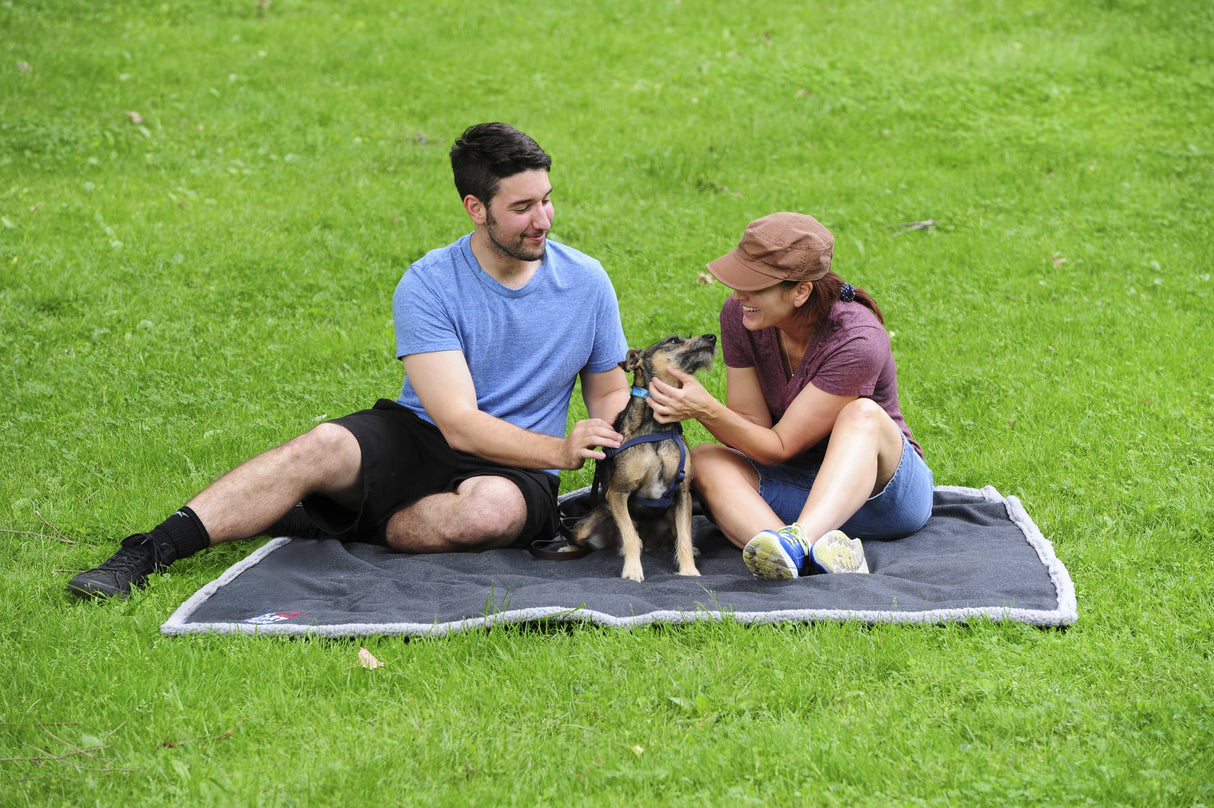 Field & Co.® Oversized Wool Sherpa Blanket